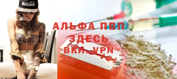 молекула духа Алексеевка