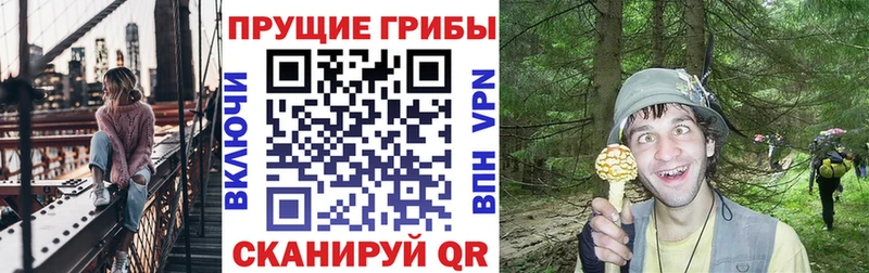 Псилоцибиновые грибы Psilocybine cubensis  hydra   Княгинино 